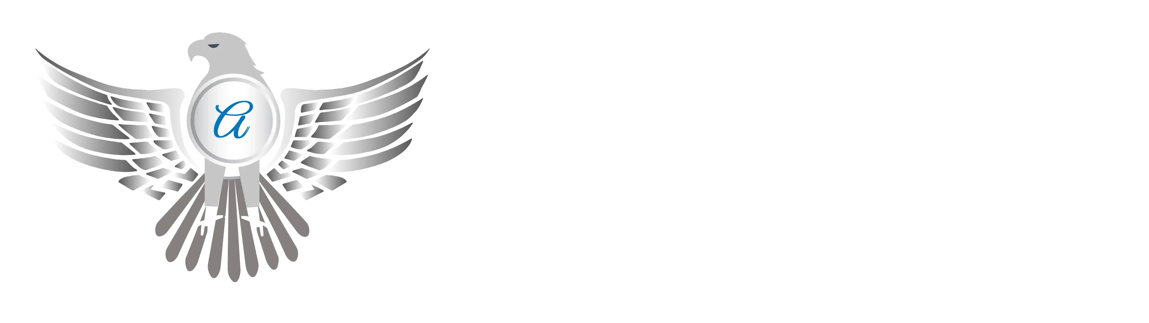 Logo - Airone Limo